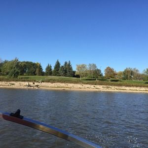 Meet your Posher, Steve